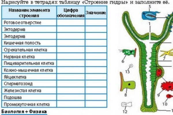 Кракен маркет плейс